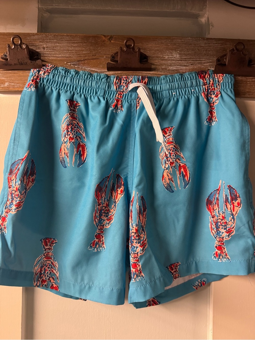 Men's chubbies Aqua Parrot and blue and red lobster Print 2pack Swim Trunks - - Picture 4 of 6